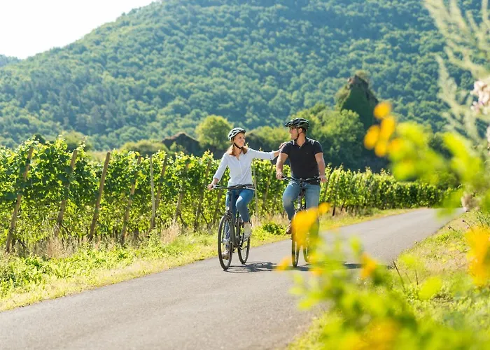 酒店 Lang 阿尔特纳尔